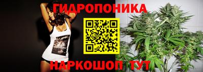 2c-b Можга