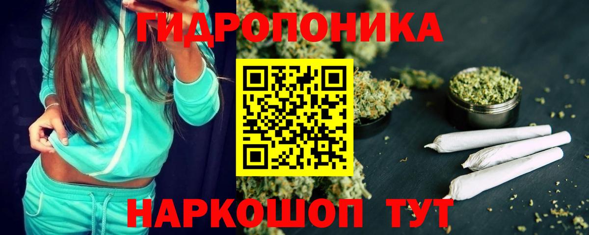 Канабис OG Kush Ялта